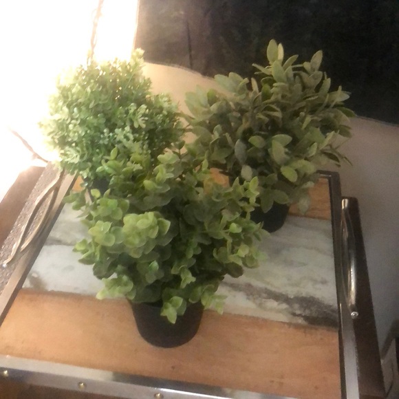 ❤️3/$30 IKEA fake plants 🪴 - Picture 3 of 8